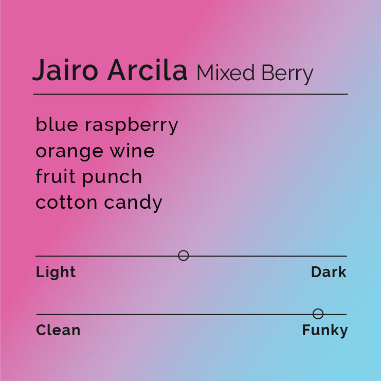 Jairo Arcila - Mixed Berry coffee, showcasing Pink Bourbon beans, highlighting the unique co-fermentation process with dried berry powder for distinct flavor profiles.