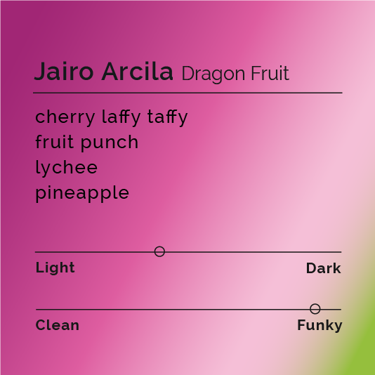 Jairo Arcila - Dragon Fruit coffee, highlighting co-fermented Castillo beans with dragon fruit, showcased in a rustic packaging, emphasizing its unique aroma and fruity flavor profile.
