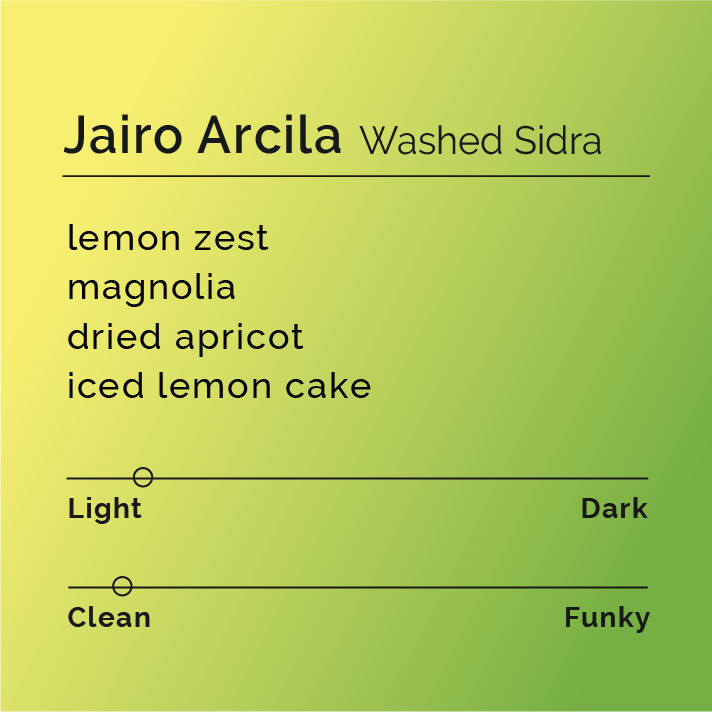 Jairo Arcila - Sidra Washed coffee bag featuring crisp, clean flavors with notes of magnolia, dried apricot, and lemon zest, reflecting expert fermentation.