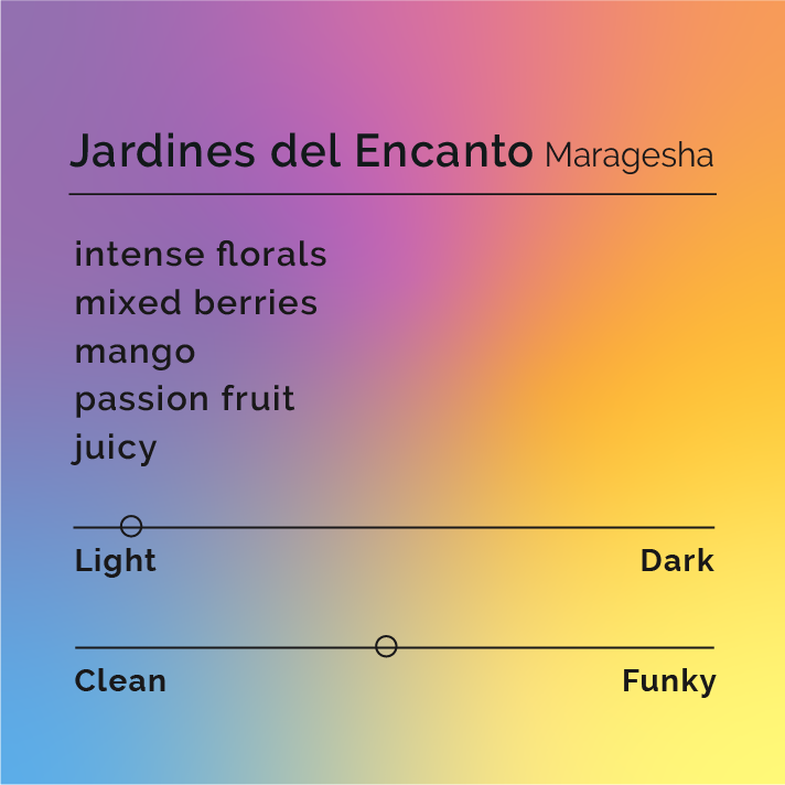 Jardines del Encanto - Maragesha coffee, featuring a purple and black sign with text, highlights its Colombian origin and unique EF2 Natural processing.