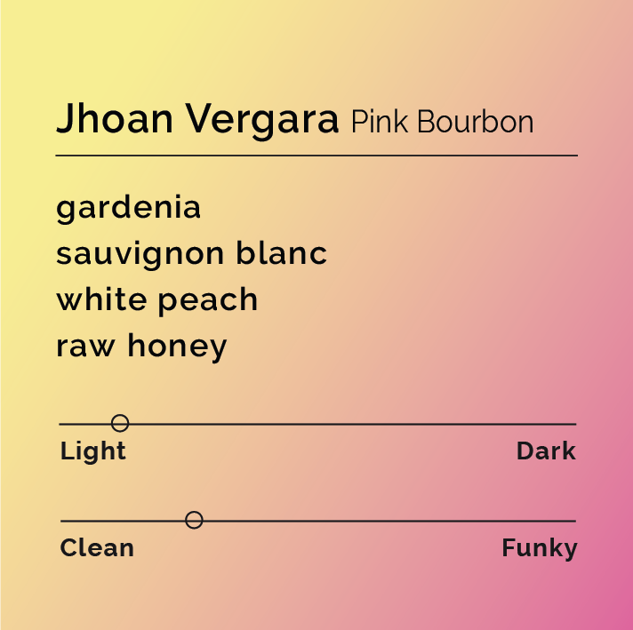 Jhoan Vergara Pink Bourbon tasting card with notes: gardenia, sauvignon blanc, white peach, raw honey. Roast: Light. Flavor: Clean. Background: yellow-pink gradient.