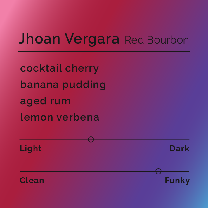 Jhoan Vergara - Red Bourbon coffee cherries being processed, highlighting unique thermal shock method, enhancing flavors like mixed berry compote and Luxardo cherries. Origin: Pitalito, Huila, Colombia.