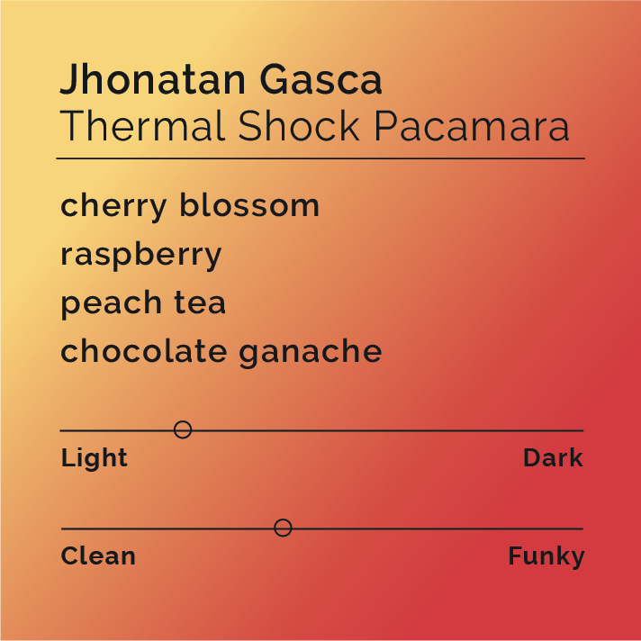 Jhonatan Gasca - Thermal Shock Pacamara