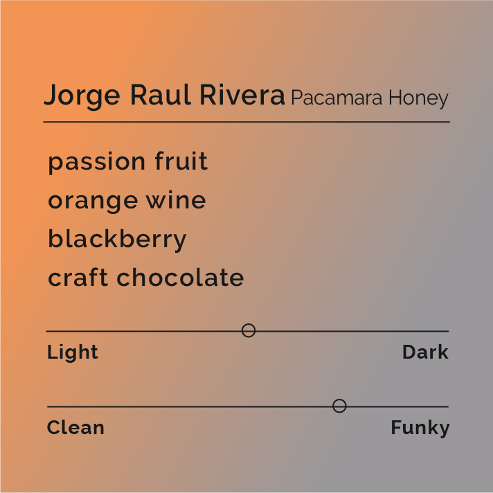 Jorge Raul Rivera - Pacamara Honey coffee packaging, showcasing origins from Chalatenango, El Salvador, with honey processing details and tasting notes highlighted.