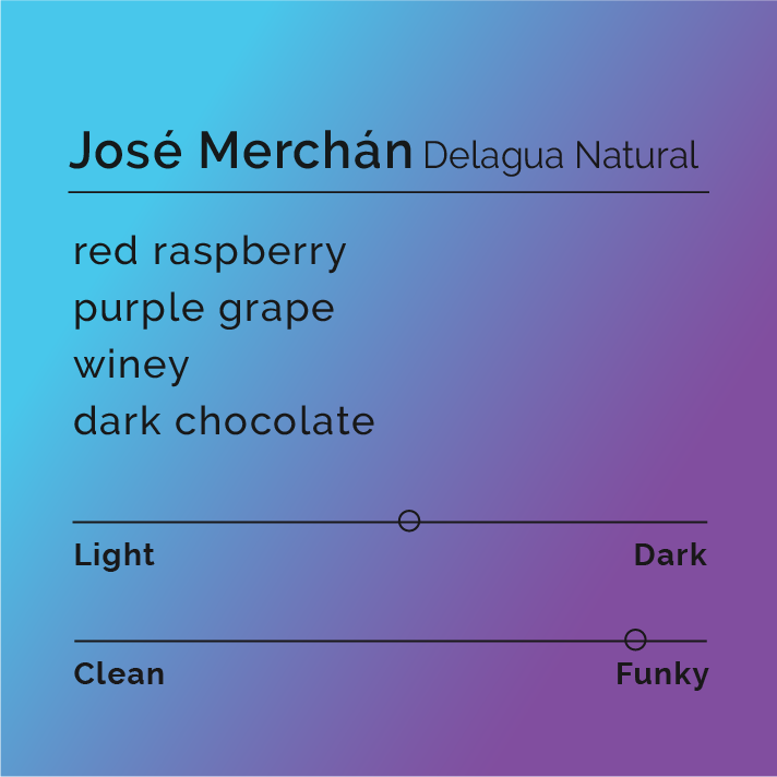 José Merchán - Delagua Natural coffee, highlighting family and community values, features dark fruit flavors with a natural process from Mari Auxiliadora farm in Colombia.