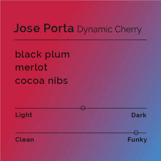 Jose Porta - Dynamic Cherry coffee features ripe cherries, highlighting a unique fermentation process by CCD, showcasing dark stone fruit and craft dark chocolate flavors.