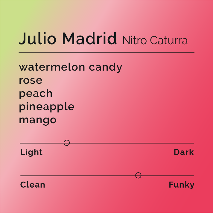 Julio Madrid - Nitro Caturra coffee package, showcasing advanced anaerobic fermentation process, highlighting fruity notes like peach and mango, with a clean, sweet profile.