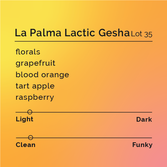 La Palma Lactic Gesha - Lot 35 coffee package, highlighting its origin from Cundinamarca, Colombia, and lactic fermentation process by La Palma Y El Tucán.