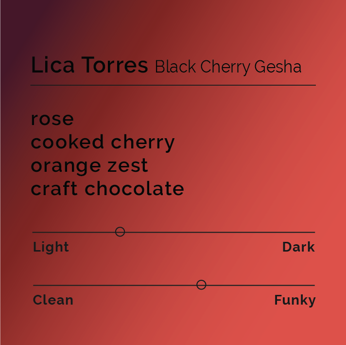 Lica Torres – Black Cherry Gesha coffee-tasting card with notes of rose, cooked cherry, orange zest, craft chocolate; light roast, slightly funky profile.
