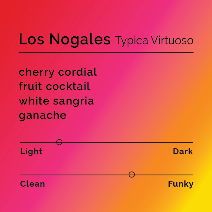 Flavor card for Los Nogales Typica Virtuoso coffee, highlighting notes of cherry cordial, fruit cocktail, white sangria, and ganache; light intensity, slightly funky character.