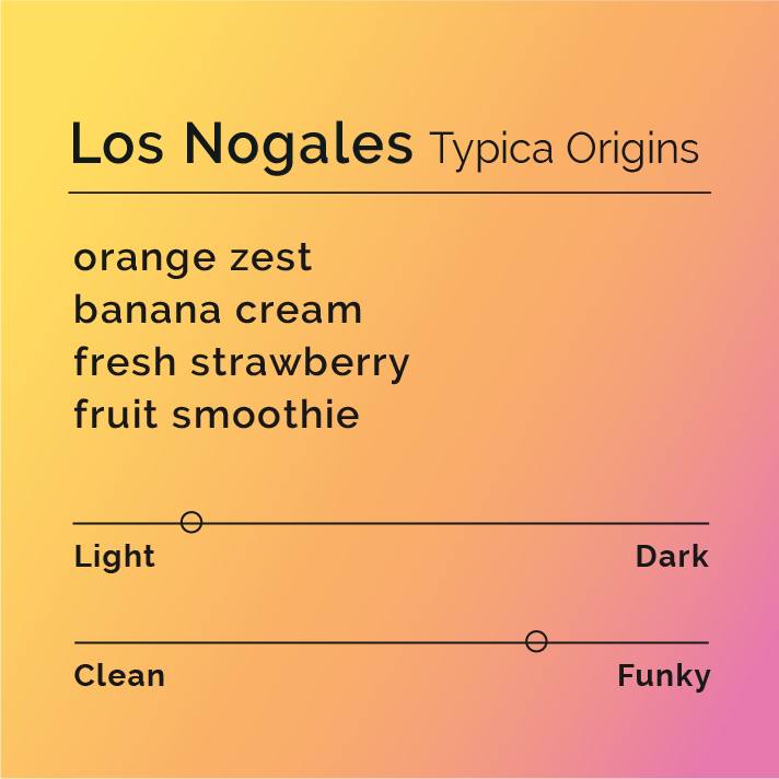 Los Nogales Typica Origins coffee-tasting card showing flavor notes: orange zest, banana cream, strawberry, and funky profile with light roast sliders.