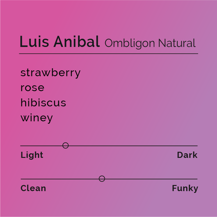 Luis Anibal - Ombligon Natural coffee, highlighting exotic varietals from Villa Betulia, Colombia, known for floral and red-fruit notes, processed using meticulous natural methods.