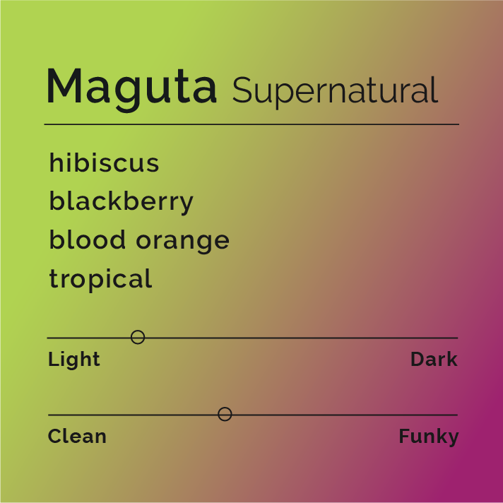 Maguta - Supernatural coffee packaging, emphasizing Kenyan origin, featuring floral and tropical flavor notes, linked to David Ngibuini's innovative processing at Maguta Estate.