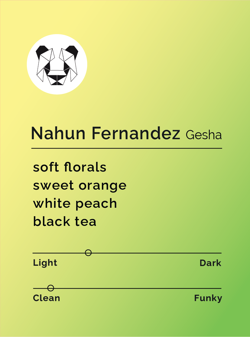 Photo of Nahun Fernandez Gesha