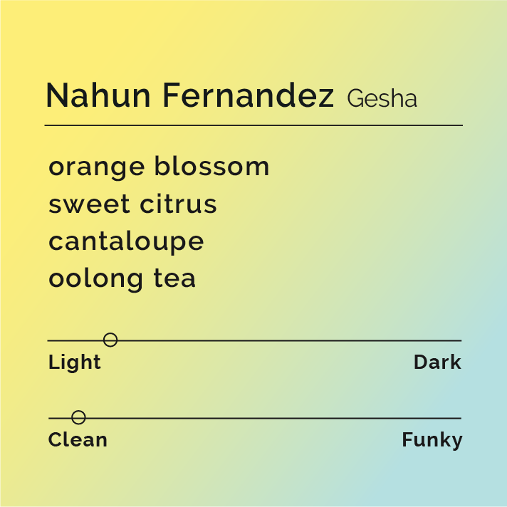 Nahun Fernandez - Gesha coffee packaging, highlighting its Honduran origin and unique processing; ideal for enthusiasts seeking vibrant acidity and floral notes.