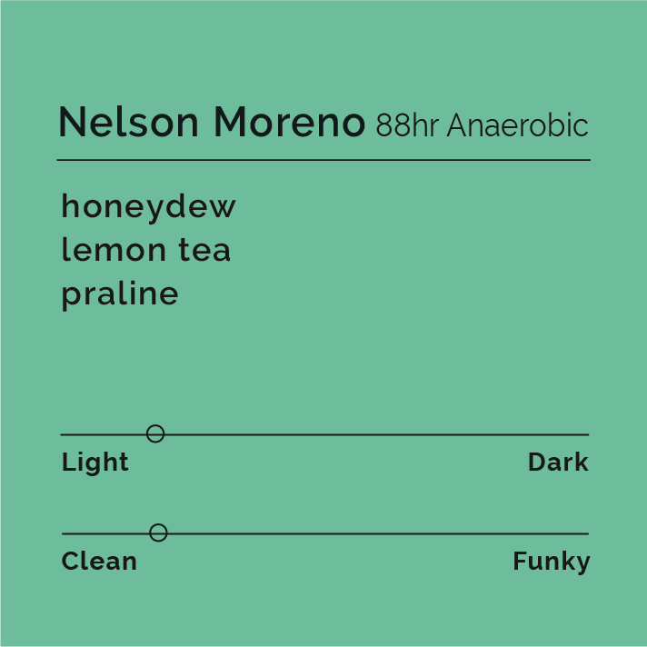 Nelson Moreno - 88HR Anaerobic coffee, text on green box, highlighting unique Santa Barbara micro-terroir and complex flavors from meticulous processing in Honduras.