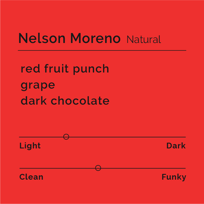 Nelson Moreno - Natural coffee from Honduras, featuring ripe coffee cherries hand-sorted and sun-dried, offering red fruit flavors with a wine-like, chocolatey finish.