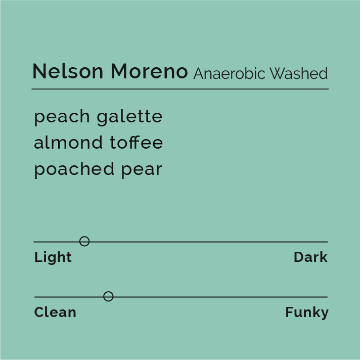 Nelson Moreno - Anaerobic Washed coffee beans from El Cedral, Santa Barbara, showcasing complex flavors of stone fruits, citrus, and nutty sweetness.