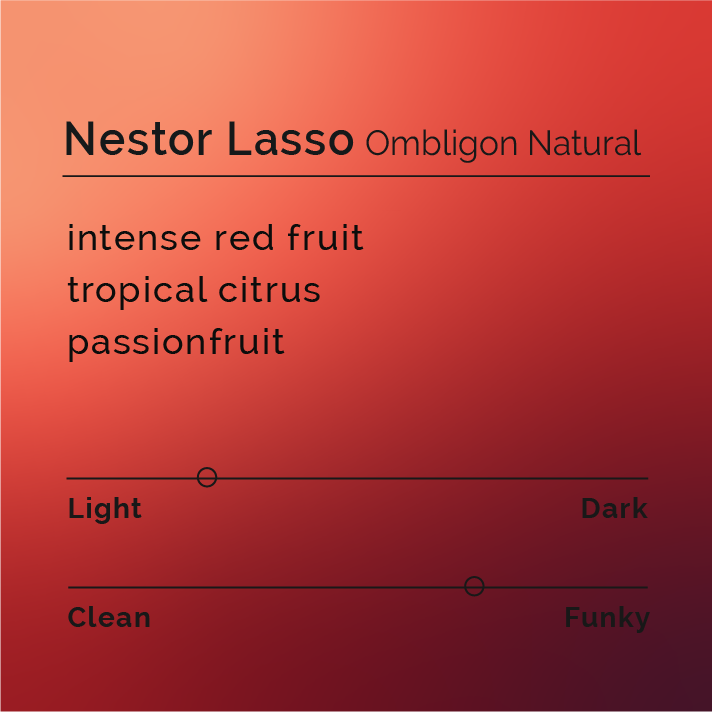 Nestor Lasso - Ombligon Natural coffee bag from El Diviso farm, showcasing specialty coffee production with notes of red fruit and tropical flavors.