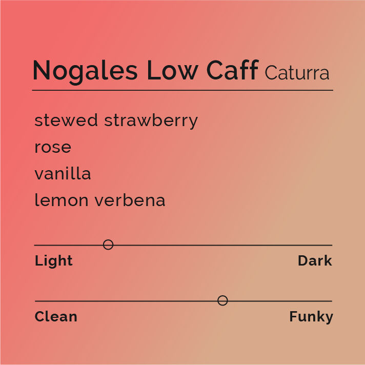 Nogales Low Caff - Caturra coffee beans from Los Nogales farm, highlighting handpicked, thermal shock processed beans with reduced caffeine, offering notes of stewed strawberries and vanilla.