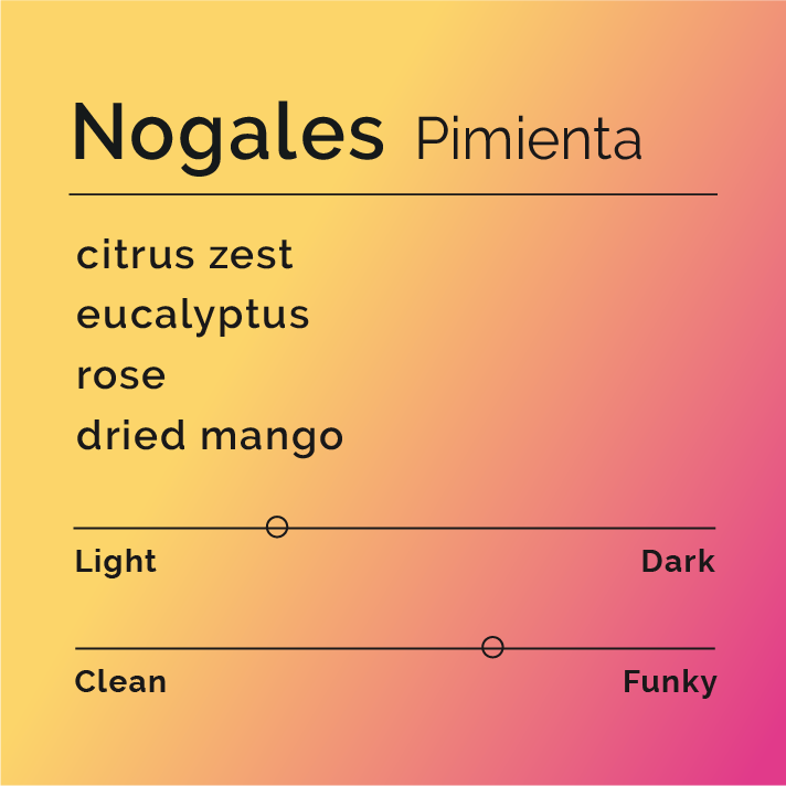 Nogales - Pimienta coffee beans, handpicked and processed using thermal shock, emphasizing fruity and herbal flavors, representing Los Nogales' sustainable practices in Pitalito, Huila.
