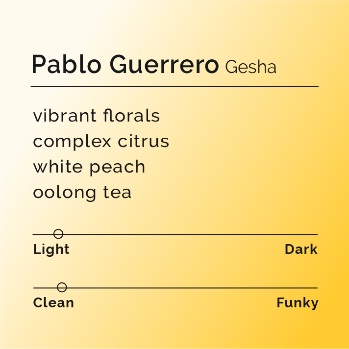 Pablo Guerrero - Gesha coffee packaging from Hacienda El Obraje, highlighting its premium quality and unique flavor profile with notes of citrus and stone fruit.