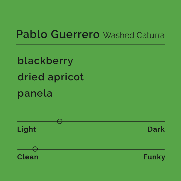 Pablo Guerrero - Washed Caturra coffee, depicted with ripe cherries and raised drying beds at Hacienda El Obraje, showcasing the intricate coffee process and origin in Tangua, Colombia.