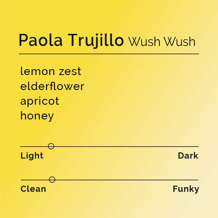 Paola Trujillo - Wush Wush coffee beans on a rustic wooden table, showcasing the unique processing techniques and vibrant flavor profile originating from Caldono, Cauca.