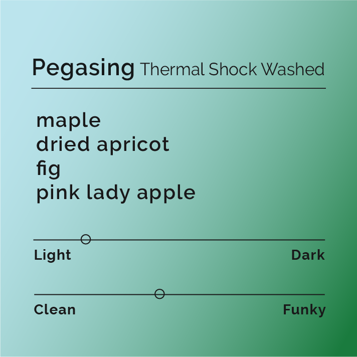Pegasing - Thermal Shock Washed coffee beans, processed by Hamdan and Hendra Maulizar, showcasing specialty techniques at Pegasing Washing Station, Indonesia.