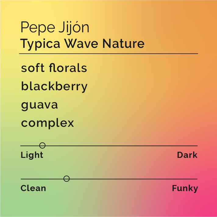 Pepe Jijón - Typica Wave Nature coffee, showcasing handpicked beans, highlighting fermentation and drying processes, offering a unique flavor profile from Imbabura, Ecuador.