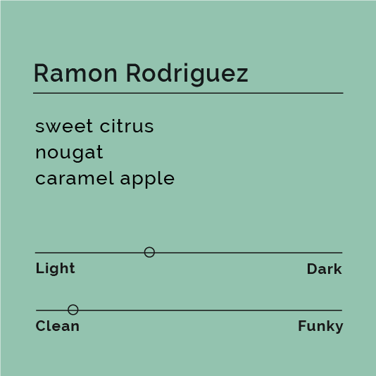 Ramon Rodriguez coffee beans from El Cedral, Honduras, processed meticulously, showcasing vibrant acidity and sweetness, inspired by Granny Smith apple and caramel flavors.