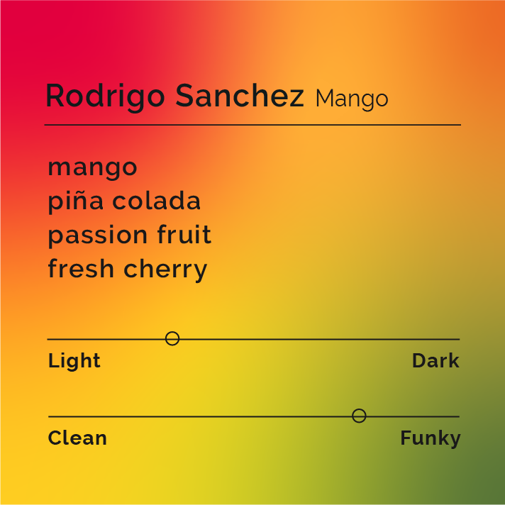 Rodrigo Sanchez Mango flavor-profile card highlights tasting notes of mango, piña colada, passion fruit, and cherry with light, funky characteristics.