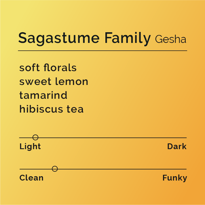 Sagastume Family - Gesha coffee packaging featuring yellow background with black text, highlighting premium Gesha coffee from El Sauce, Honduras, produced by Pedro and Yeltsin Sagastume.