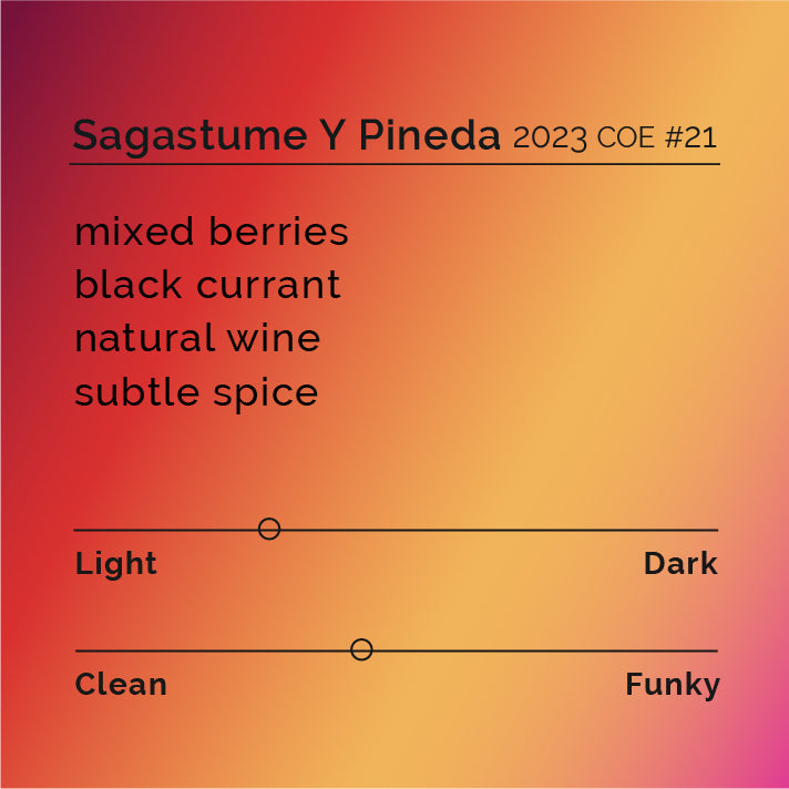 Sagastume & Pineda - 2023 COE #21 coffee packaging, highlighting its SL28 variety from Santa Barbara, Honduras, produced by Bersi Sagastume and Edwin Pineda.