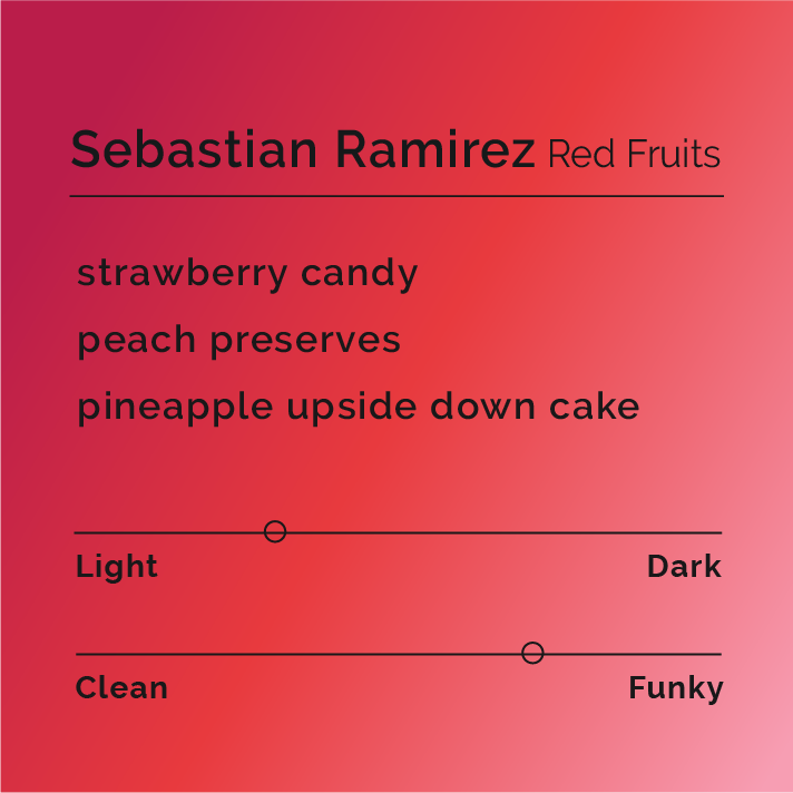 Sebastian Ramirez - Red Fruit coffee features a bag labeled with Sebastian's signature, highlighting its co-ferment process and vibrant fruit flavors of strawberries, peaches, and pineapples.