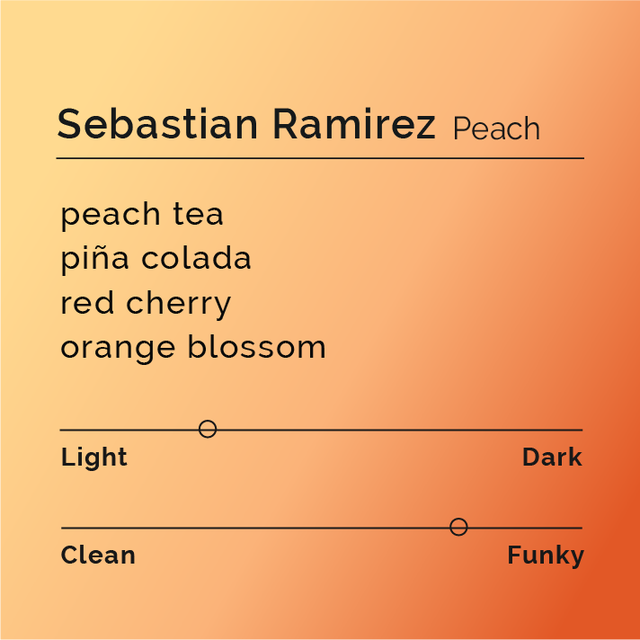 Sebastian Ramirez - Peach coffee, featuring co-fermented Pink Bourbon beans, highlighted for its unique processing with peaches, wine yeast, and fruit glucose, showcased in a premium package.
