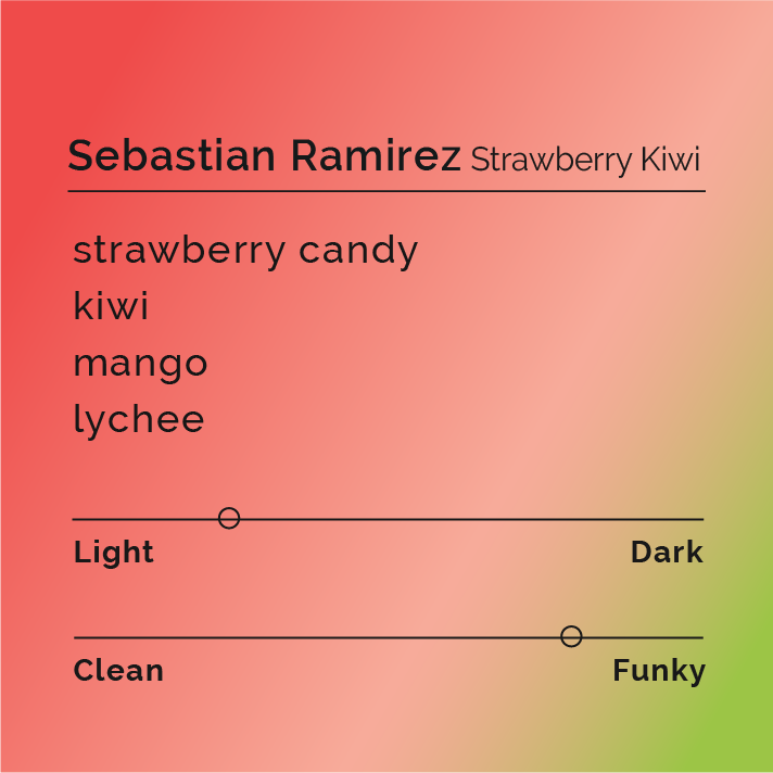 Sebastian Ramirez - Strawberry Kiwi coffee blend, showcasing three processed coffees from Quindío, Colombia, emphasizing tropical and sweet flavors reminiscent of strawberry kiwi drinks.