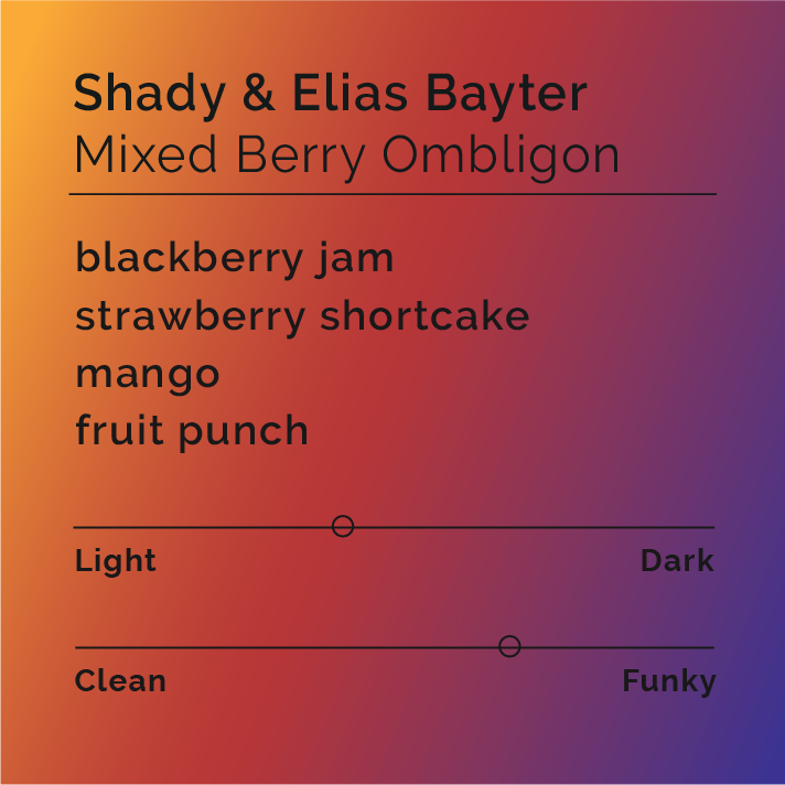 Shady Y Elias - Mixed Berry Ombligon coffee from El Vergel, showcasing advanced processing with vibrant, fruit-forward notes, cultivated by the Bayter brothers in Tolima, Colombia.