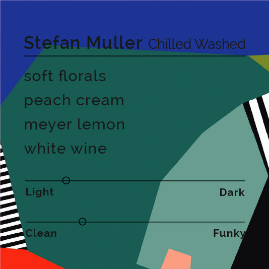 Stefan Muller - Chilled Washed coffee bag, featuring Hacienda Bajo Mono's Gesha variety, highlighting sustainable practices and unique fermentation process.
