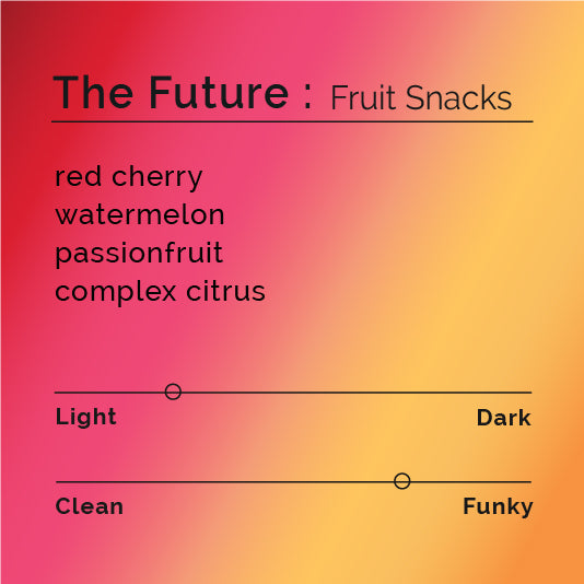 The Future - Fruit Snacks coffee blend, featuring innovative Colombian beans with fruity, complex notes, showcased by Kyle Ramage at the Brewer's Cup.