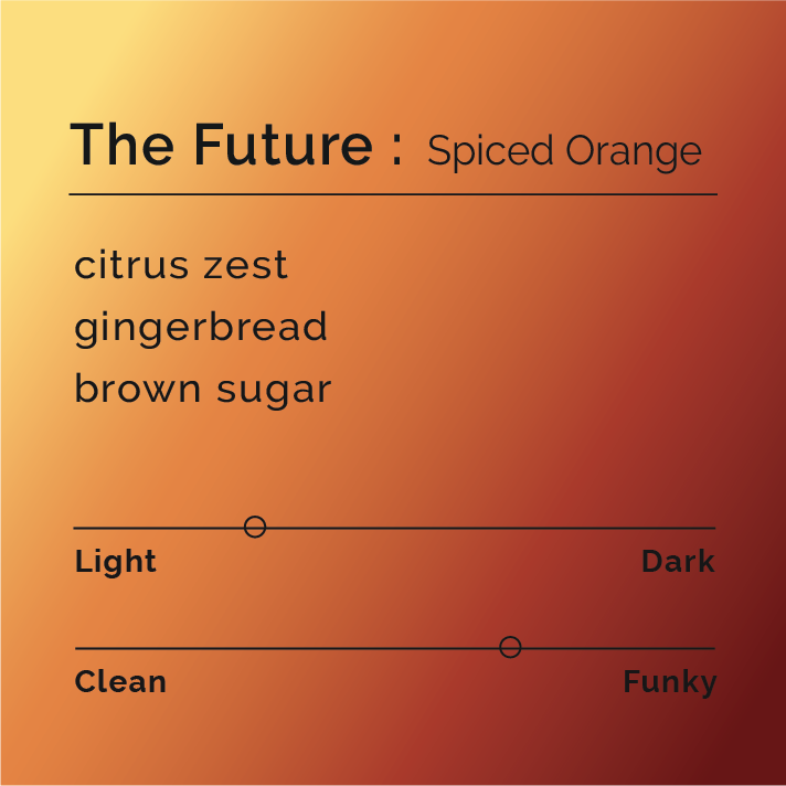 The Future - Spiced Orange blend showcases co-fermented coffees, with visual hints of citrus and spice, reminiscent of nostalgic holiday pomanders.