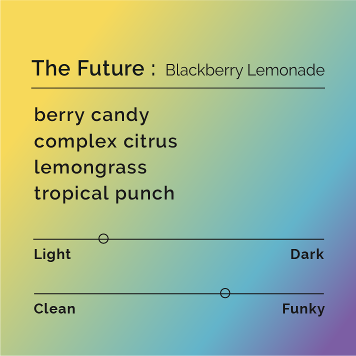 A  45 degree angle gradient of honey yellow to a blue and purple right corner label on a white background with the words The Future : Blackberry Lemonade and tasting notes of berry candy, complex citrus, lemongrass and tropical punch with roast level light medium and very funky.