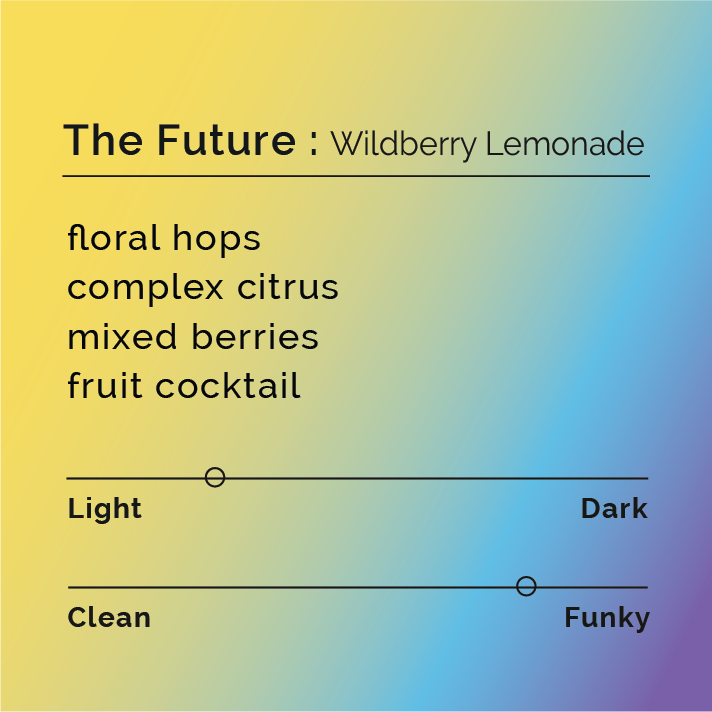The Future - Wildberry Lemonade coffee blend, featuring co-fermented beans, symbolizing spring with vibrant, floral, and citrus notes, evoking nostalgic springtime memories.