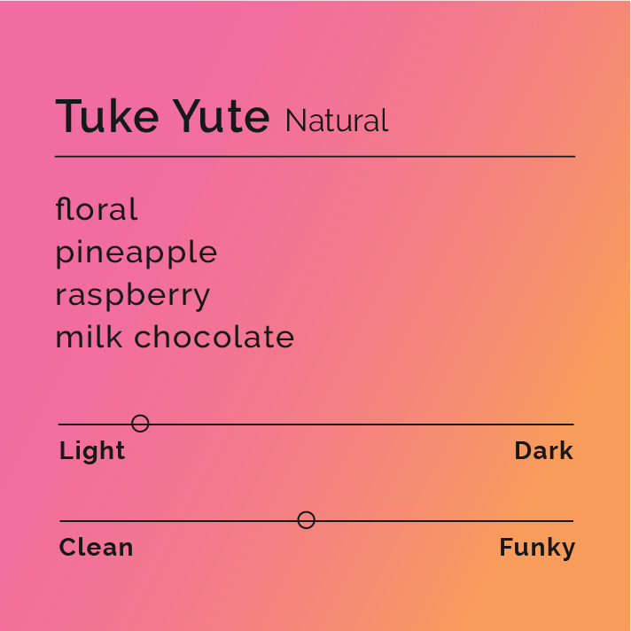 Tuke Yute - Instant Coffee, featuring 6 pouches, highlights Ethiopian origin with floral, raspberry, and pineapple notes, perfect for creating instant coffee or lattes.