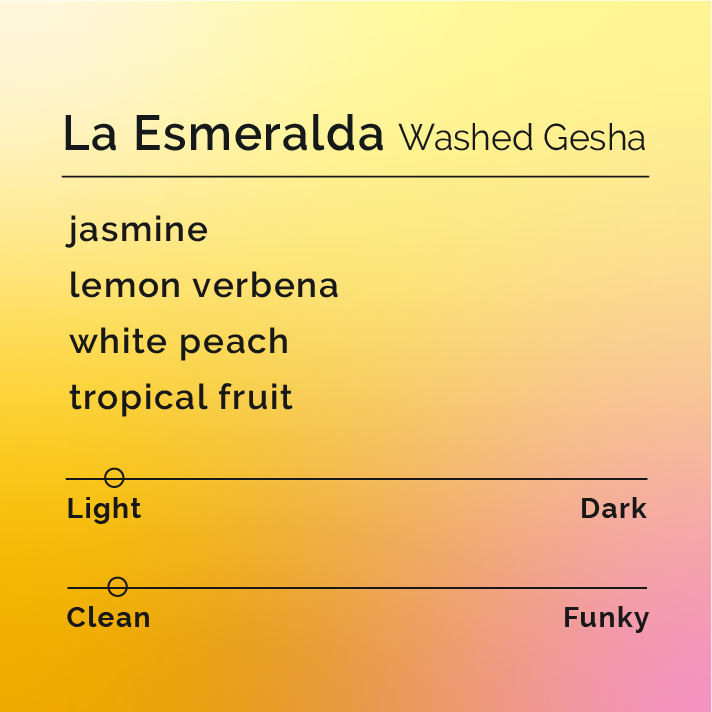 La Esmeralda - Washed Gesha coffee bag, showcasing its origin and detailed flavor notes, emphasizing floral, fruity, and tea-like qualities from Panama's Hacienda La Esmeralda.