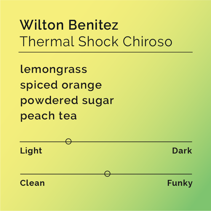 Wilton Benitez - Thermal Shock Chiroso coffee from Granja El Paraíso-92, showcasing innovative processing methods, including anaerobic fermentation and thermal shock, highlighting its unique flavor profile.