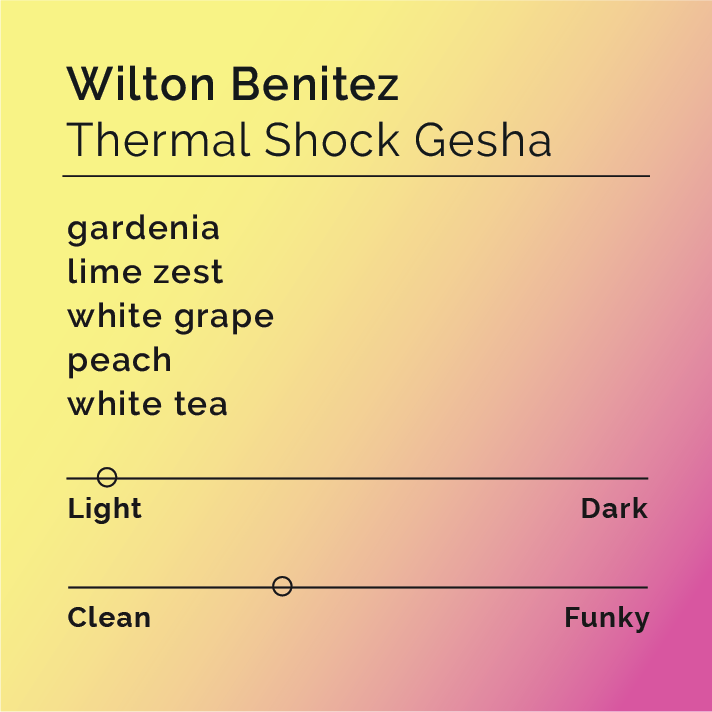 Yellow card with black text highlighting Wilton Benitez - Thermal Shock Gesha, a unique coffee varietal processed innovatively by Granja El Paraíso-92 in Colombia.