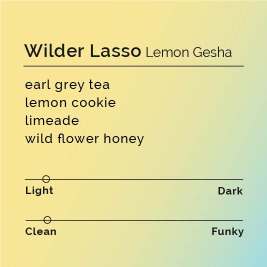 Wilder Lasso - Lemon Gesha coffee beans, showcasing meticulous processing with lemon co-fermentation, highlighting complex florality and vibrant acidity, packaged for single-origin enthusiasts.