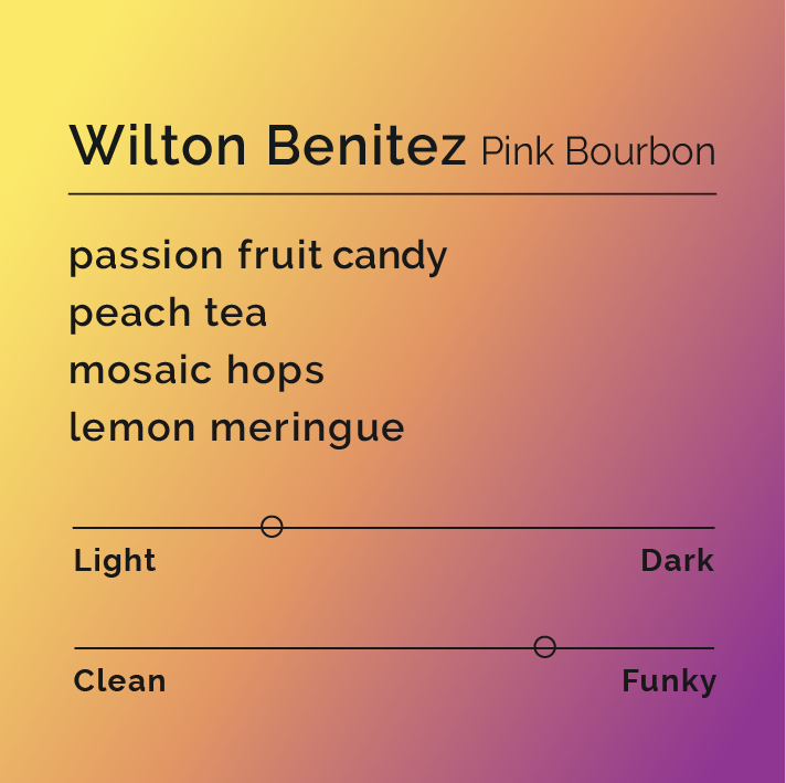 Wilton Benitez Pink Bourbon flavor card highlights tasting notes: passion fruit candy, peach tea, mosaic hops, lemon meringue; light roast, funky flavor profile.