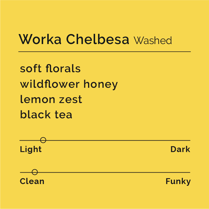 Worka Chelbesa - Washed coffee package displaying traditional Ethiopian processing, noted for its floral aroma and honey-like sweetness, sourced from Gedeb's renowned washing stations.